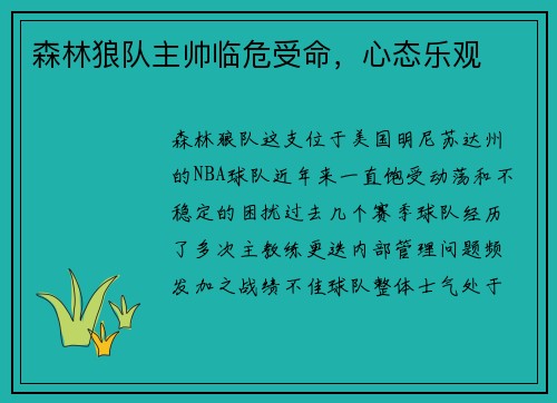 森林狼队主帅临危受命，心态乐观