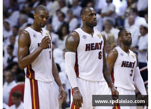 迈阿密热火逆袭夺冠：2013 NBA总决赛第六场的传奇之战 - 副本
